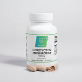 Cordyceps Mushroom